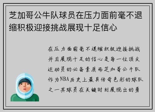 芝加哥公牛队球员在压力面前毫不退缩积极迎接挑战展现十足信心